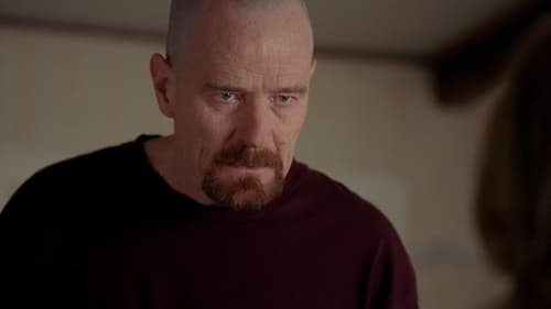 Breaking Bad Saison 4 Épisode 6