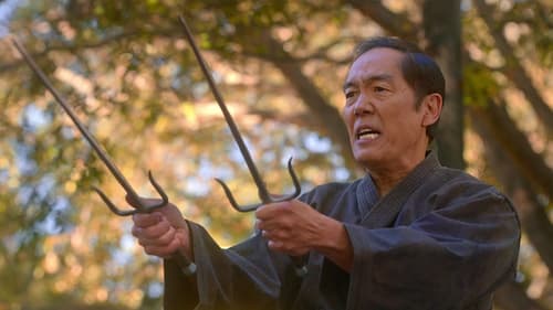 Cobra Kai Saison 5 Épisode 7