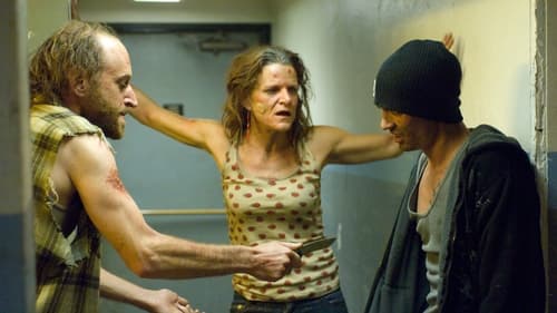 Breaking Bad Saison 2 Épisode 5