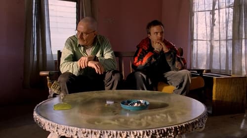 Breaking Bad Saison 2 Épisode 2
