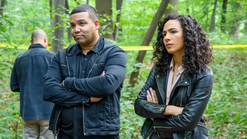 Prodigal Son Saison 1 Épisode 6