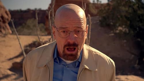 Breaking Bad Saison 5 Épisode 14