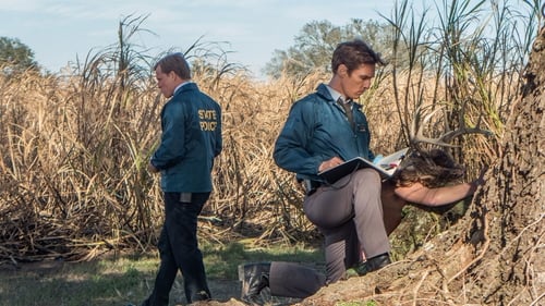True Detective Saison 1 Épisode 1