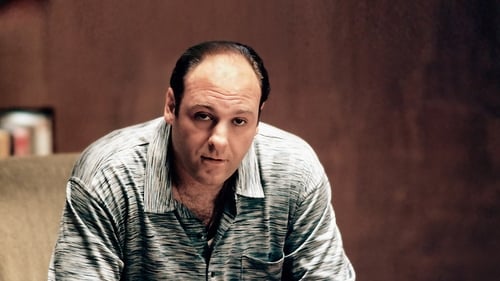 Les Soprano Saison 1 Épisode 11