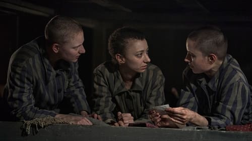 The Tattooist of Auschwitz Saison 1 Épisode 3