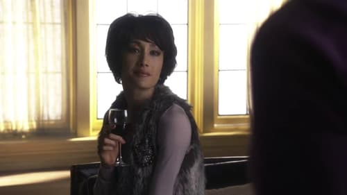 Nikita Saison 1 Épisode 14