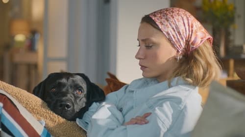 Merci et au suivant ! Saison 1 Épisode 3