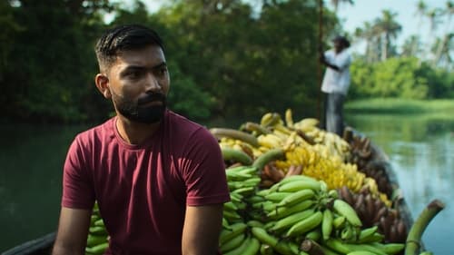 Omnivores : Le parcours de l’alimentation Saison 1 Épisode 4