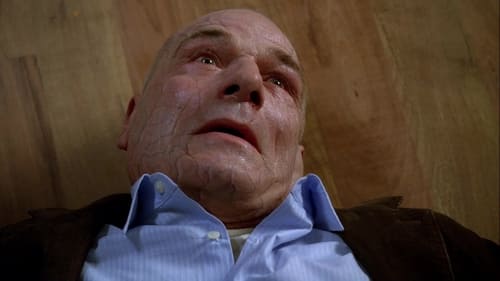 Fringe Saison 2 Épisode 13