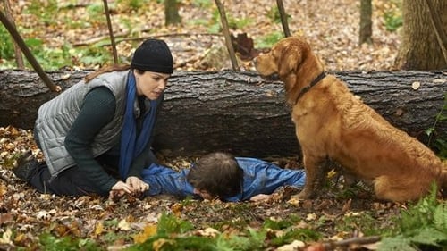 Saving Hope : au-delà de la médecine Saison 3 Épisode 13