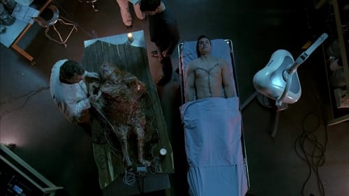 Fringe Saison 2 Épisode 19