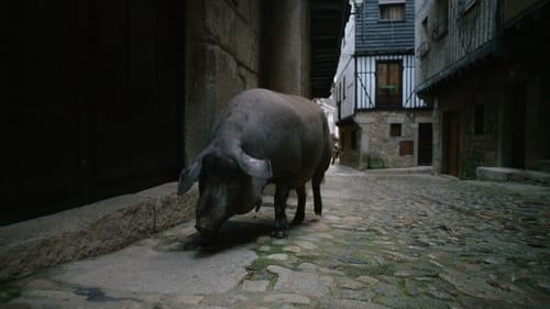 Omnivores : Le parcours de l’alimentation Saison 1 Épisode 5