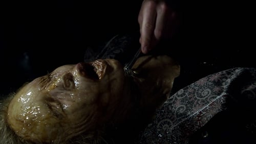 Fringe Saison 4 Épisode 17