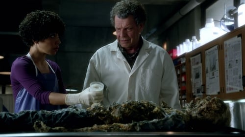 Fringe Saison 4 Épisode 3