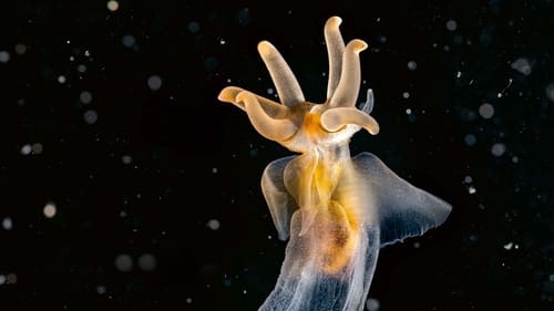 Planète Terre III Saison 1 Épisode 1
