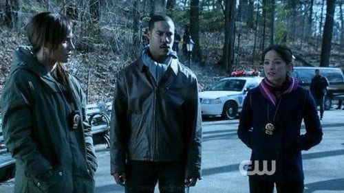 Beauty and the Beast Saison 1 Épisode 16