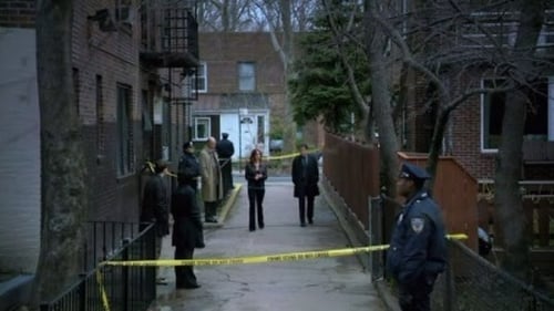 Unforgettable Saison 1 Épisode 1