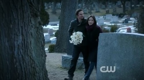 Beauty and the Beast Saison 1 Épisode 20