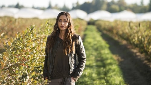 Les 100 Saison 6 Épisode 3