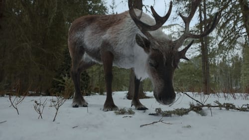 Jane Saison 1 Épisode 9