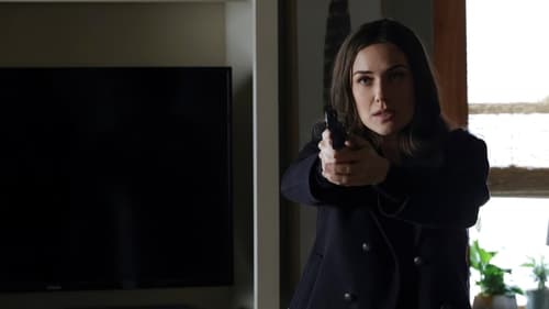 Blacklist Saison 8 Épisode 14