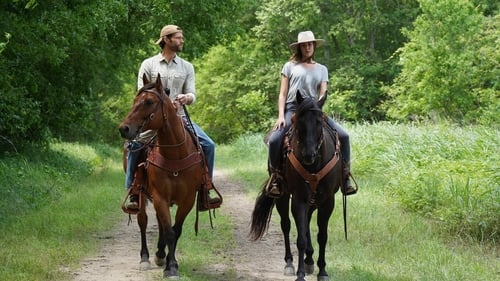 Walker Saison 1 Épisode 14