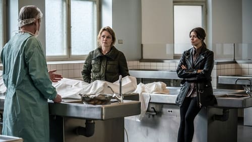 Le Tueur de l’ombre Saison 2 Épisode 2