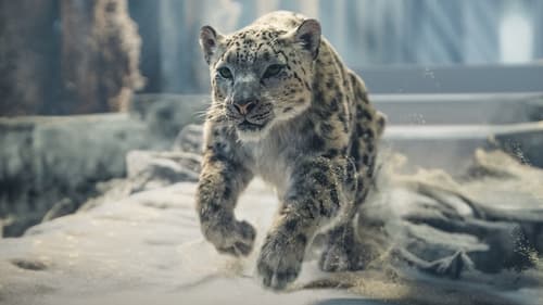 His Dark Materials : À la croisée des mondes Saison 3 Épisode 7
