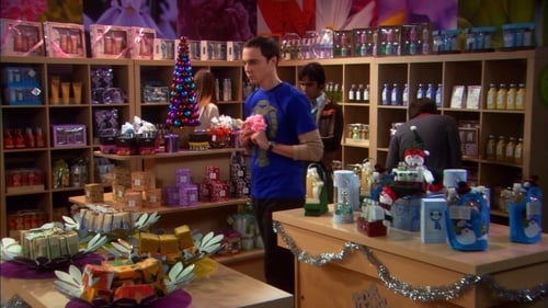 The Big Bang Theory Saison 2 Épisode 11