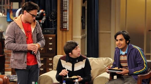 The Big Bang Theory Saison 5 Épisode 8