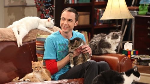 The Big Bang Theory Saison 4 Épisode 3