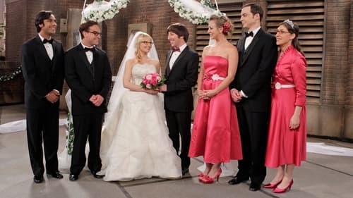 The Big Bang Theory Saison 5 Épisode 24