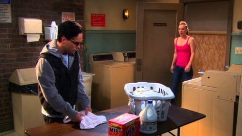 The Big Bang Theory Saison 3 Épisode 19