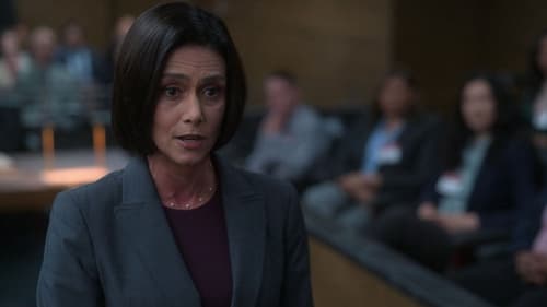 Reasonable Doubt Saison 2 Épisode 8