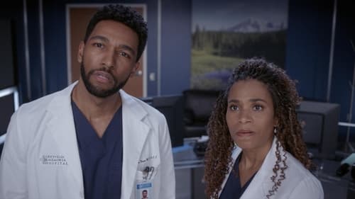 Grey’s Anatomy Saison 19 Épisode 14