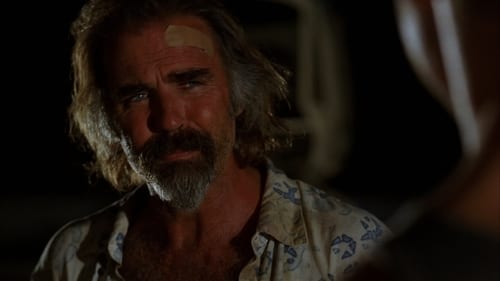 Lost : Les Disparus Saison 4 Épisode 7