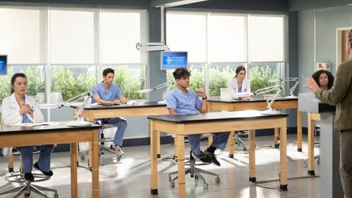 Grey’s Anatomy Saison 20 Épisode 1