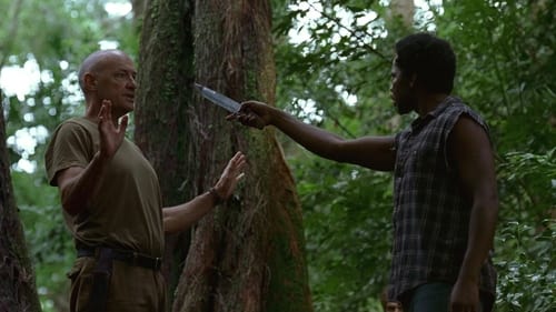 Lost : Les Disparus Saison 1 Épisode 14