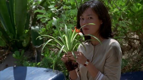 Lost : Les Disparus Saison 1 Épisode 6
