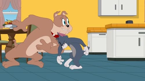 Tom et Jerry Show Saison 2 Épisode 13