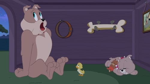 Tom et Jerry Show Saison 2 Épisode 24