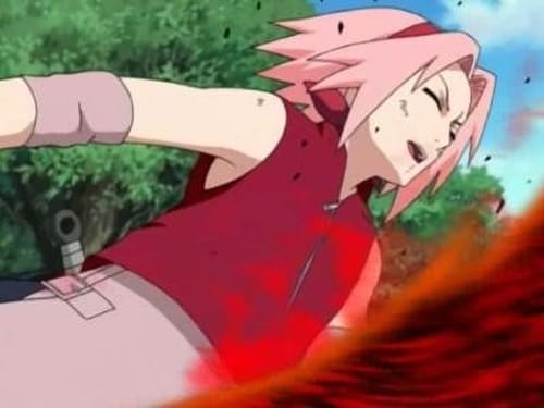 Naruto Shippuden Saison 2 Épisode 43
