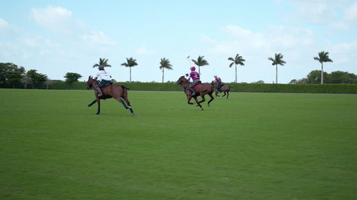 Polo Saison 1 Épisode 4