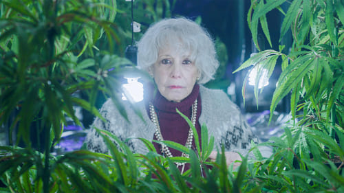 Family Business Saison 1 Épisode 5
