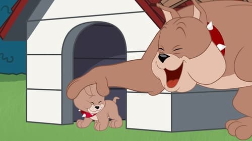 Tom et Jerry Show Saison 2 Épisode 4