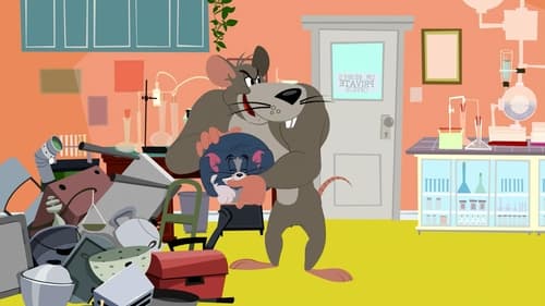 Tom et Jerry Show Saison 1 Épisode 20