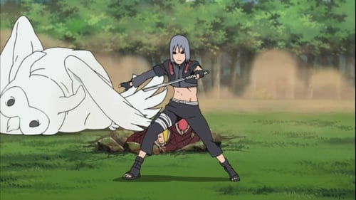 Naruto Shippuden Saison 2 Épisode 46
