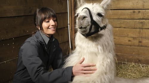 Animal Control Saison 1 Épisode 6