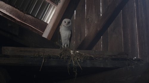 Ghosts : Fantômes à la maison Saison 3 Épisode 1