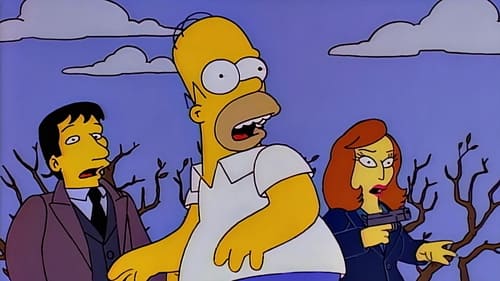 Les Simpson Saison 8 Épisode 10